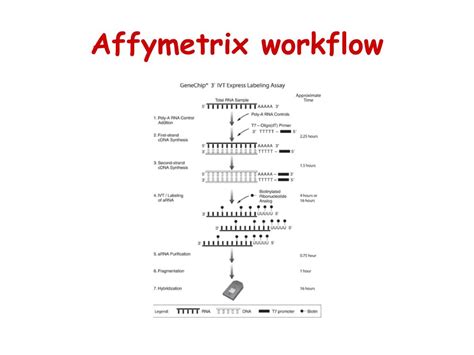 affymetrix elisa kits|affymetrix molecular biology.